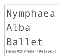 Nymphaea Alba Ballet, 
Hantu #20 (Weber+Delsaux)