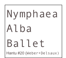 Nymphaea Alba Ballet
Hantu #20 (Weber+Delsaux)